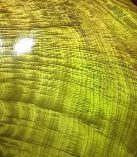 金絲楠烏木：如何區(qū)別金絲楠、黃心楠、黃金樟